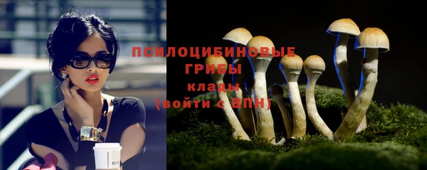 ГАЛЛЮЦИНОГЕННЫЕ ГРИБЫ Алексеевка