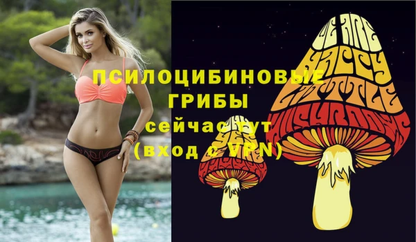 спайс Алексин